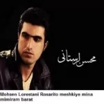 مینا محسن لرستانی