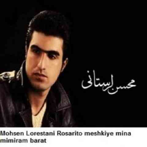 مینا محسن لرستانی