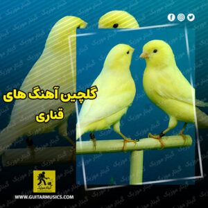 دانلود صدای قناری