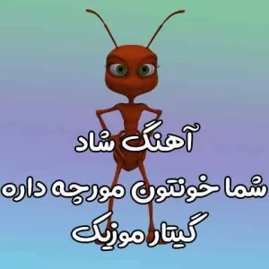 دانلود آهنگ شما خونتون مورچه داره سه برادر خداوردی