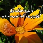 دانلود آهنگ ترکی گوزلریم یولدا گولاغیم سسلدی