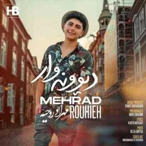 دانلود آهنگ مهراد روحیه دیوونه وار
