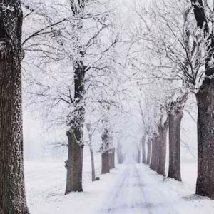 دانلود آهنگ خدا هوار هوا سرده چه سوزی داره ای بان