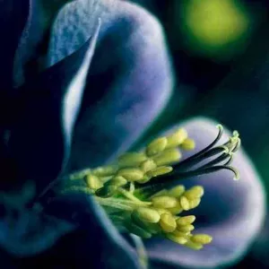 گلچین آهنگ های مهستی