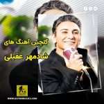 دانلود گلچین آهنگ های شادمهر عقیلی