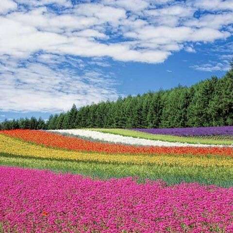 دانلود آهنگ جسمش دختر ولی روحش یه مرده هورا و سام