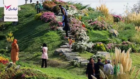 سفر یکی از بهترین تصمیم ها برای رهایی از مشغله های فکری و دوری از هیاهو است. بهترین راه کمک به خود برای رسیدن به آرامش، رفتن به یک سفر به مقصد یکی از شهر های ایران مانند مشهد است. اما همواره یکی از دغدغه های اصلی مربوط به چگونگی جا به جایی و انتخاب وسیله نقلیه بوده است. به نظر شما بهترین وسیله نقلیه برای سفر کدام است؟ شما می توانید برای سفر از راه های زمینی: با قطار و اتوبوس و یا از راه های هوایی با استفاده از هواپیما، در شهر های مختلف کشورمان جا به جا شوید. به نظر شما سفر با کدام یک از وسایل نقلیه مزیت های بیشتری دارد؟ هواپیما بهترین و پر سرعت ترین وسیله نقلیه برای سفر است. با خرید بلیط هواپیما مشهد می توانید طولانی ترین مسافرت ها را در کمترین زمان ممکن به مشهد داشته باشید. با ما تا انتهای این مطلب همراه باشید تا با 6 مزیت سفر به هواپیما آشنا شوید.