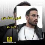 دانلود گلچین آهنگ های احمد سلو