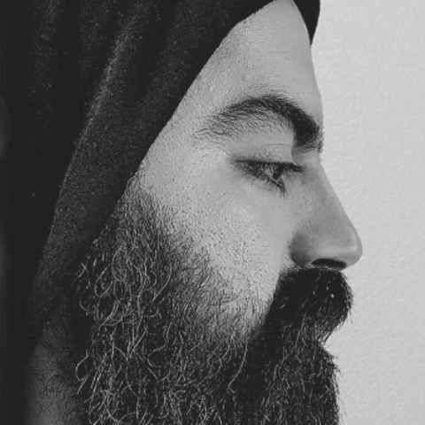 آوات عکس العمل