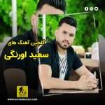 دانلود گلچین آهنگ های سعید اورنگی