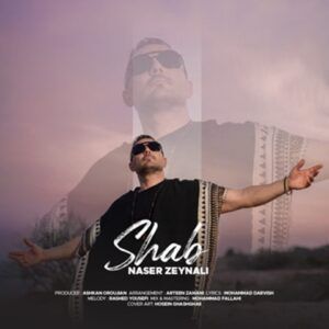 دانلود آهنگ ناصر زینعلی شب