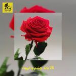 دانلود آهنگ 25 باند چشم و ابروت