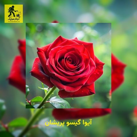 دانلود آهنگ آیوا گیسو پریشان