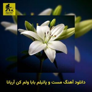دانلود آهنگ مست و پاتیلم بابا ولم کن آریانا