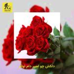 دانلود آهنگ دلکش چو اسیر دام توام
