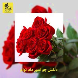 دانلود آهنگ دلکش چو اسیر دام توام