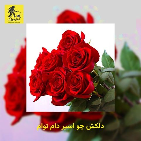 دانلود آهنگ دلکش چو اسیر دام توام