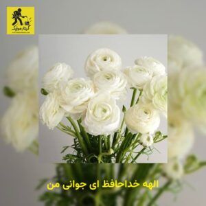 دانلود آهنگ الهه خداحافظ ای جوانی من