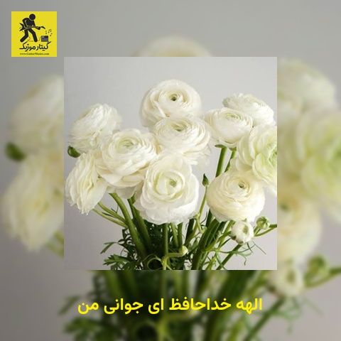 دانلود آهنگ الهه خداحافظ ای جوانی من
