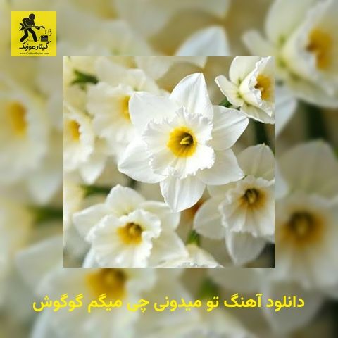 دانلود آهنگ تو میدونی چی میگم گوگوش