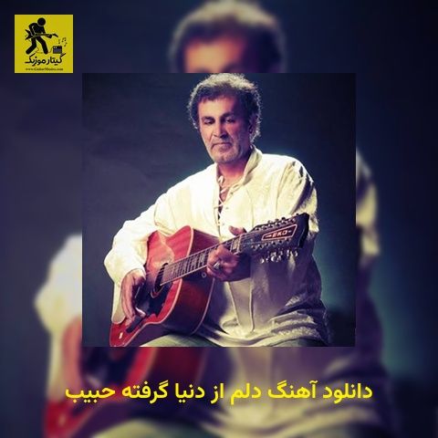دانلود آهنگ دلم از دنیا گرفته حبیب