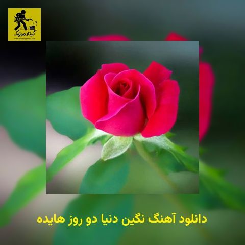 دانلود آهنگ نگین دنیا دو روز هایده