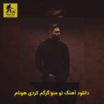 دانلود آهنگ تو منو گرگم کردی هونام