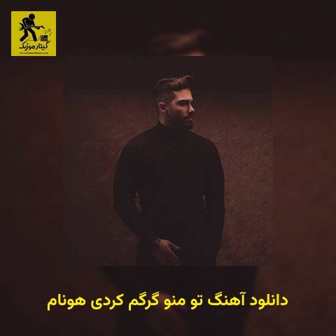دانلود آهنگ تو منو گرگم کردی هونام