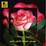 دانلود آهنگ مهستی حوصله عاشقی ندارم