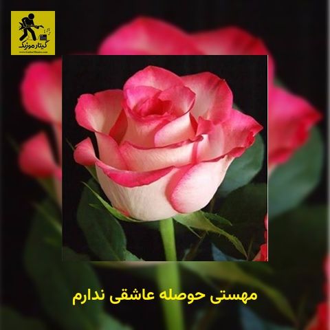 دانلود آهنگ مهستی حوصله عاشقی ندارم