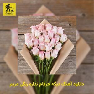 دانلود آهنگ دیگه حرفام نداره رنگی مریم