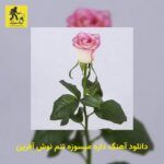 دانلود آهنگ داره میسوزه تنم نوش آفرین