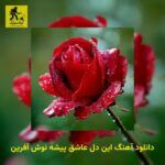 دانلود آهنگ این دل عاشق پیشه نوش آفرین