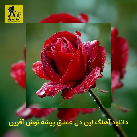 دانلود آهنگ این دل عاشق پیشه نوش آفرین