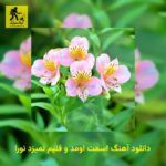 دانلود آهنگ اسمت اومد و قلبم نمیزد نورا