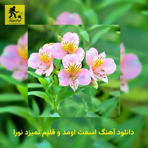 دانلود آهنگ اسمت اومد و قلبم نمیزد نورا