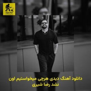 دانلود آهنگ دیدی هرچی میخواستیم اون نشد رضا شیری