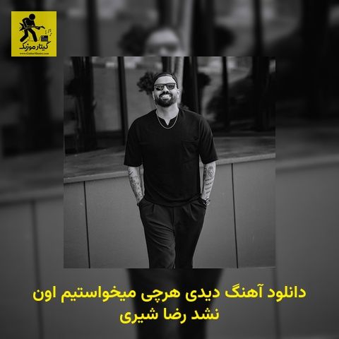 دانلود آهنگ دیدی هرچی میخواستیم اون نشد رضا شیری