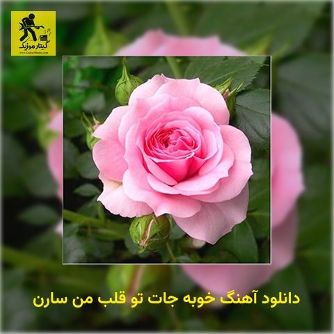 دانلود آهنگ خوبه جات تو قلب من سارن