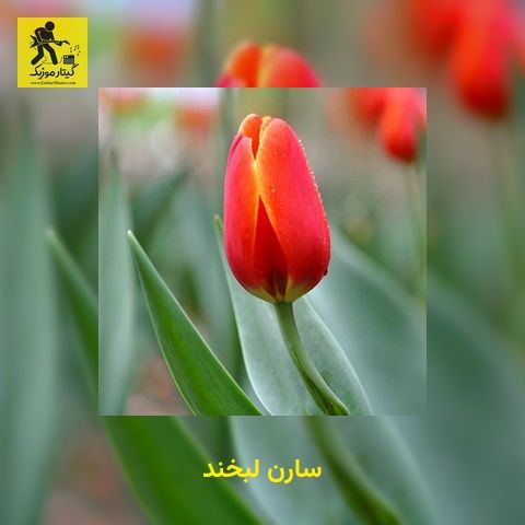 دانلود آهنگ سارن لبخند