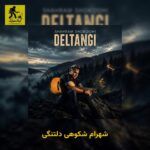 دانلود آهنگ شهرام شکوهی دلتنگی