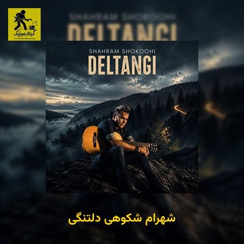 دانلود آهنگ شهرام شکوهی دلتنگی