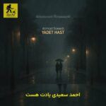 دانلود آهنگ احمد سعیدی یادت هست