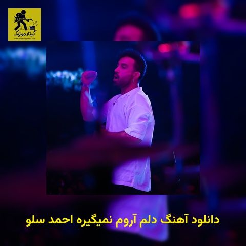 دانلود آهنگ دلم آروم نمیگیره احمد سلو