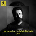 دانلود آهنگ ﺗﻨﻬﺎ ﭘﻨﺎه دل ﺑﻰ ﻛﺴﻢ ﺑﻮد امین حبیبی
