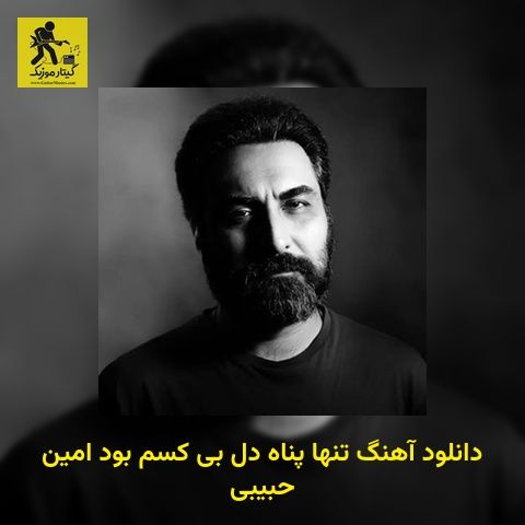 دانلود آهنگ ﺗﻨﻬﺎ ﭘﻨﺎه دل ﺑﻰ ﻛﺴﻢ ﺑﻮد امین حبیبی