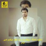 دانلود آهنگ دﻳﻮاﻧﻪ وار ﺑﺸﺪ ﻓﻜﺮ ﻣﻴﻜﻨﻢ امیر لیام