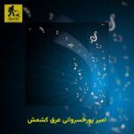دانلود آهنگ امیر پورخسروانی عرق کشمش