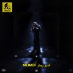 دانلود آهنگ امیر ریبار MEIMBF