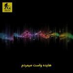 دانلود آهنگ هایده واست میمردم